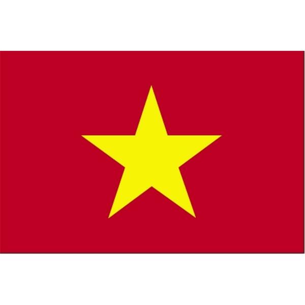 Ss Collectibles 5 ft. X 8 ft. Nyl-Glo Vietnam Flag SS37455